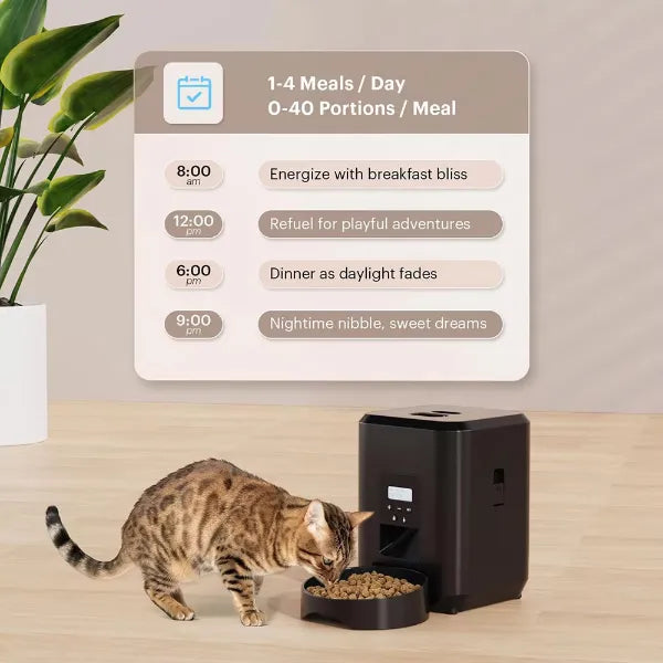 AutoPurr Automatic Cat Feeders AU2