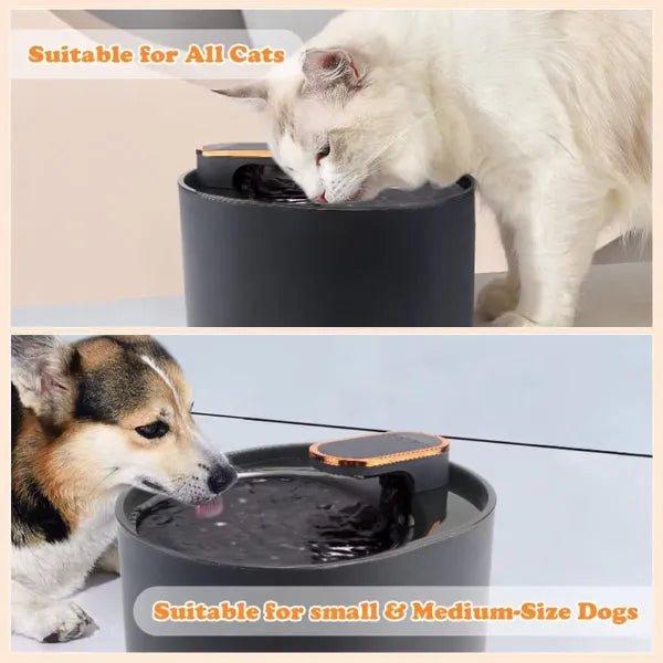 PurePaws Cat Water Fountains AU2