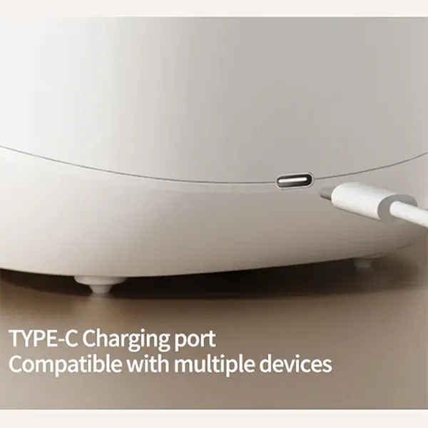 U2 Zintra Ultrasonic Denture Cleaner AU