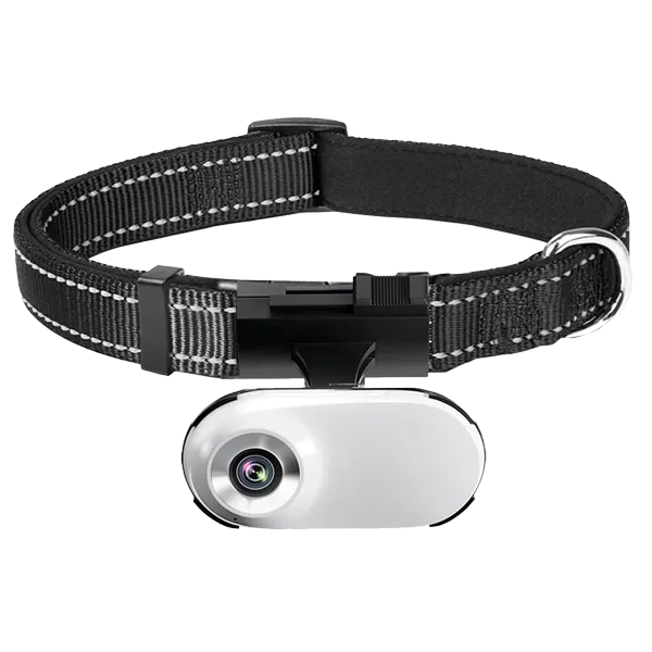 FurrSnap Dog Collar Cameras AU