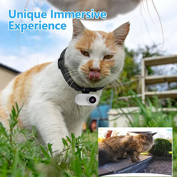 FurrSnap Dog Collar Cameras AU