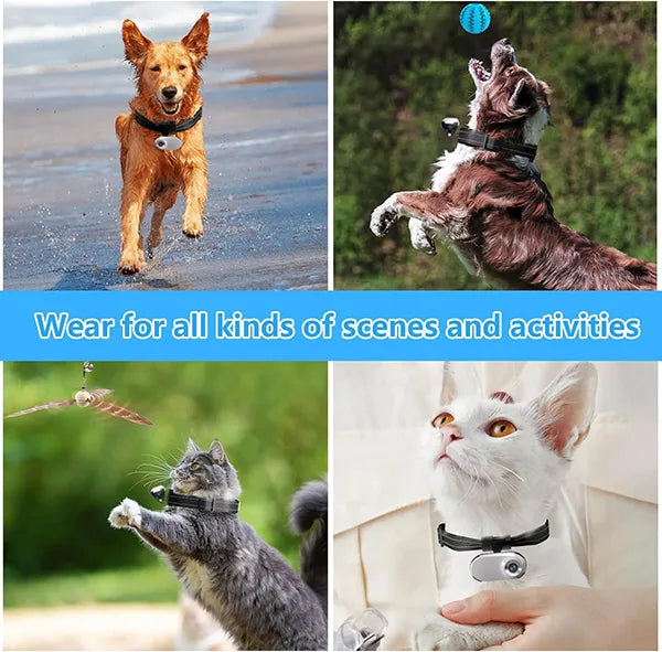 FurrSnap Dog Collar Cameras AU