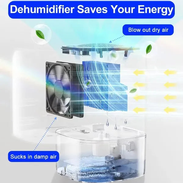 Airvella Dehumidifier For Bedroom US8