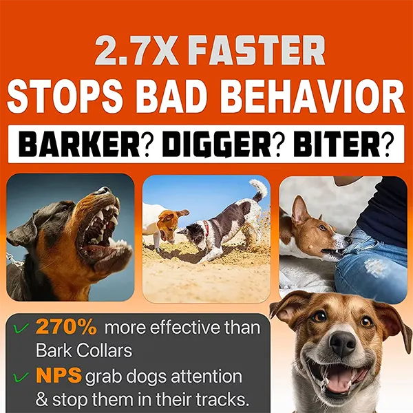 DogBark Dog Bark Deterrents