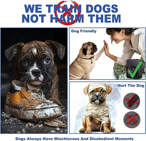 DigoMi3 Dog Barking Devices