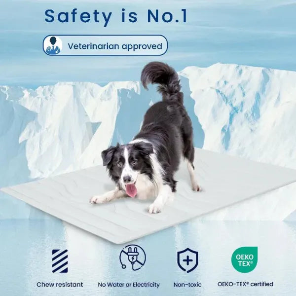 S2 DeliG Dog Cooling Mats US7421