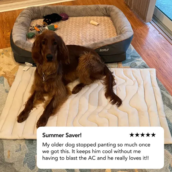 S2 DeliG Dog Cooling Mats US7421