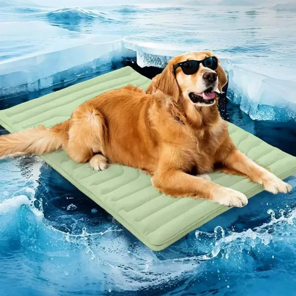 S2 DeliG Dog Cooling Mats US7421