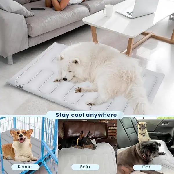 S2 DeliG Dog Cooling Mats US7421