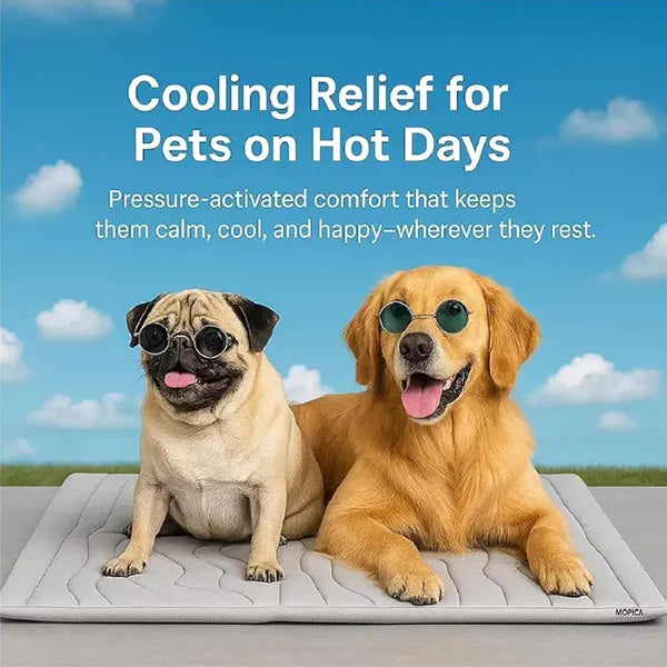 S2 DeliG Dog Cooling Mats US7421