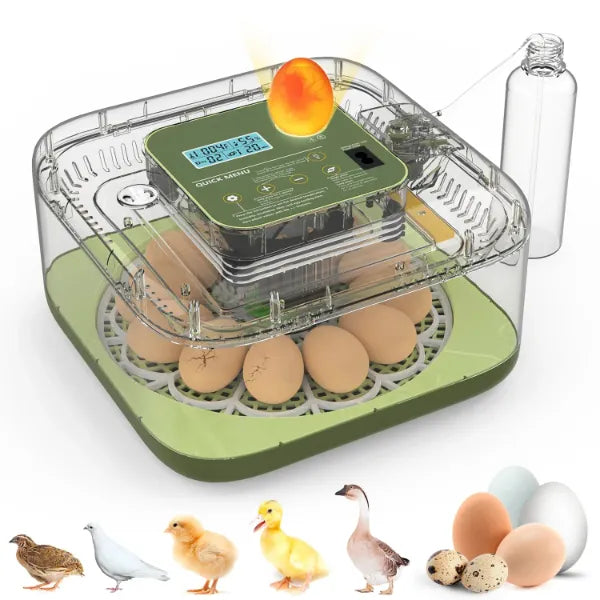 EggCrest Egg Incubators AU1