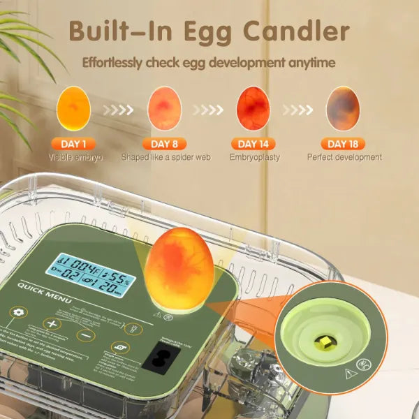 EggCrest Egg Incubators AU1