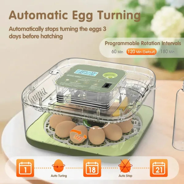 EggCrest Egg Incubators AU1