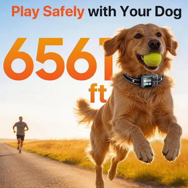 K9Locate GPS Dog Trackers US8