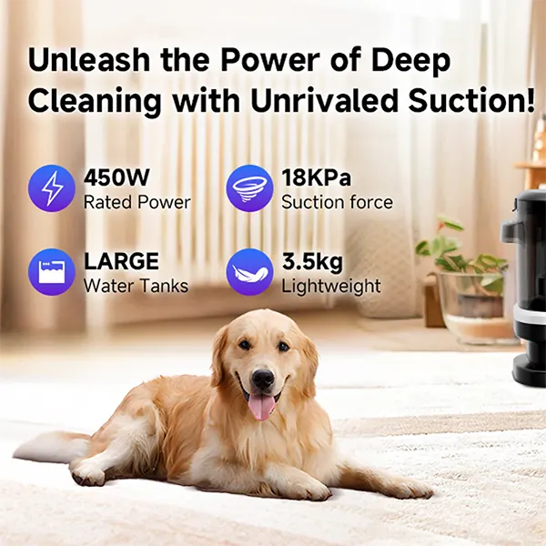 HomiX5 Upholstery Cleaners AU