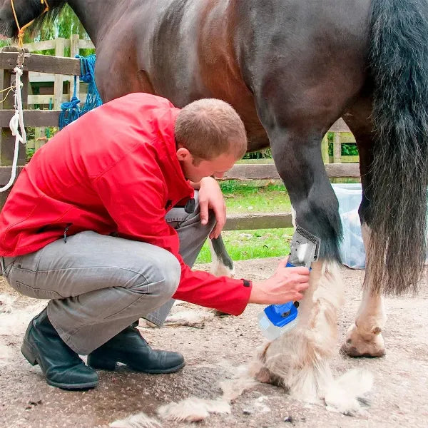 Z3 RainHor Horse Clipper