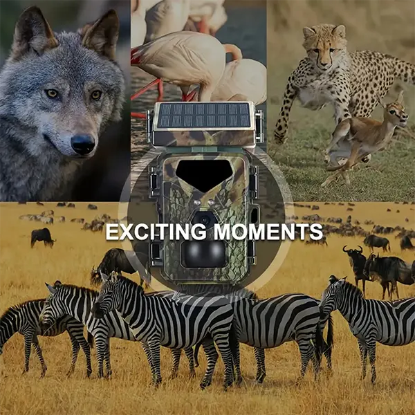 I65 WilCam Wildlife Camera