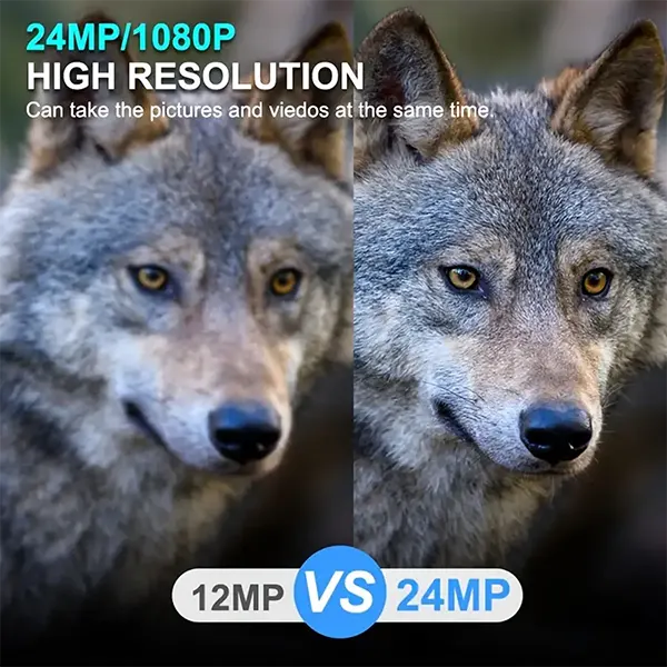 I65 WilCam Wildlife Camera