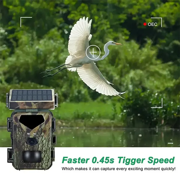 I65 WilCam Wildlife Camera