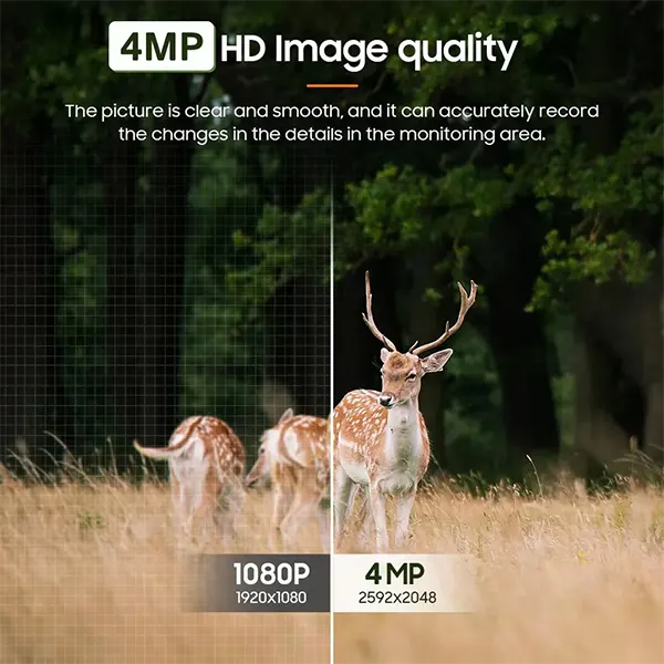 RediffeCam Wildlife Garden Cameras