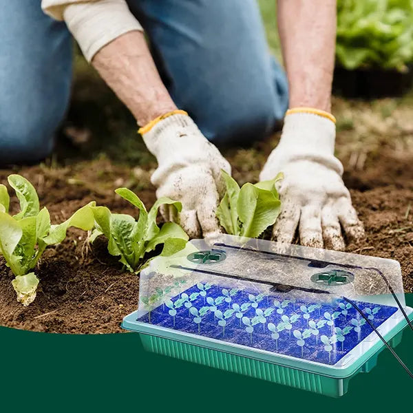 SproutLab Seed Starter Trays with Grow Lights