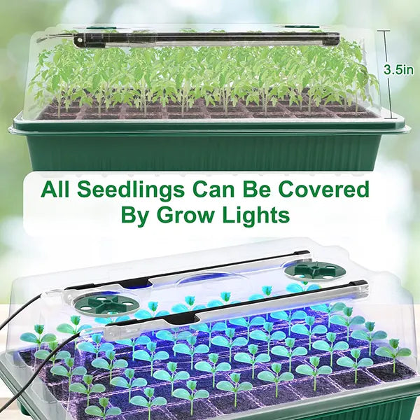 SproutLab Seed Starter Trays with Grow Lights