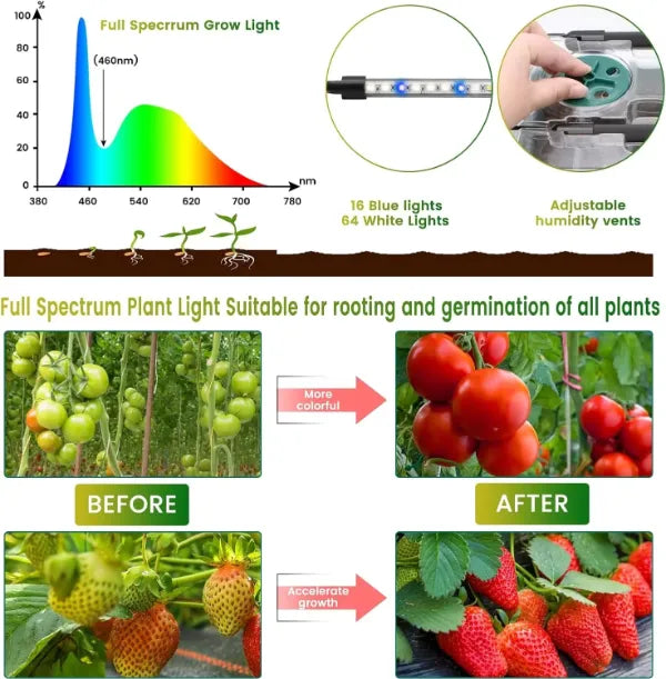 SproutLab Seed Starter Trays with Grow Lights