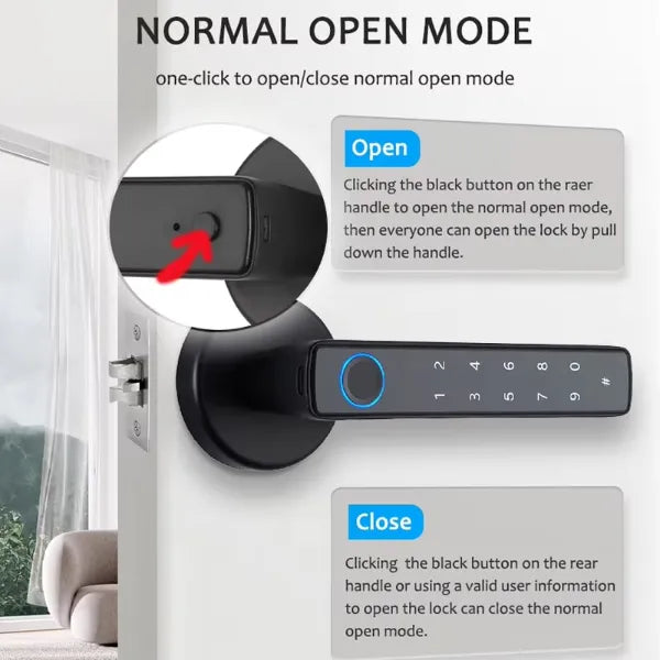 HolLocks Smart Padlocks US01