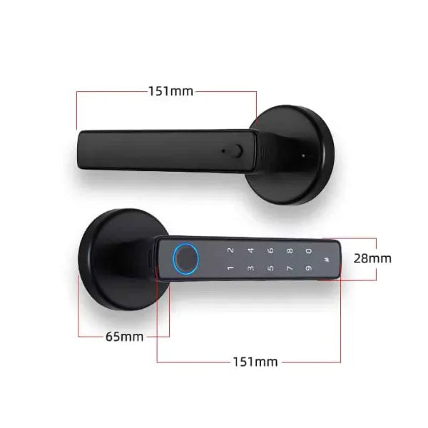 HolLocks Smart Padlocks US01