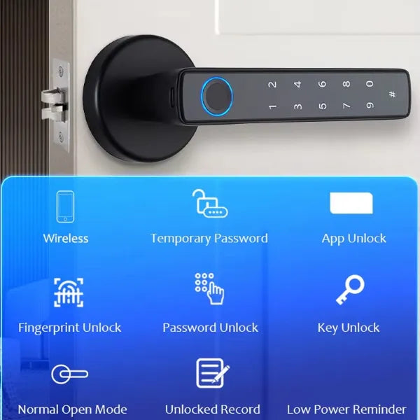 HolLocks Smart Padlocks US01