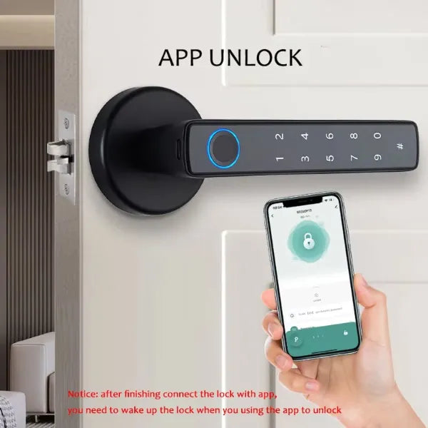 HolLocks Smart Padlocks US01