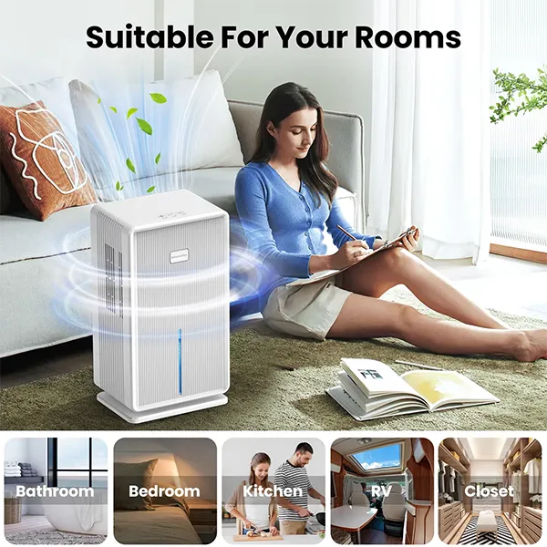 HumidAway Portable Dehumidifiers US8