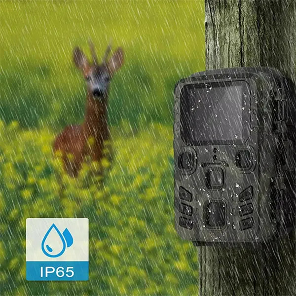 WifSifa Wifi Trail Cameras
